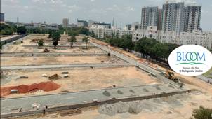 Royal Plots